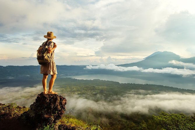 Bali Full Day Tour: Highlights of Ubud and Hidden Waterfall - Cultural Immersion