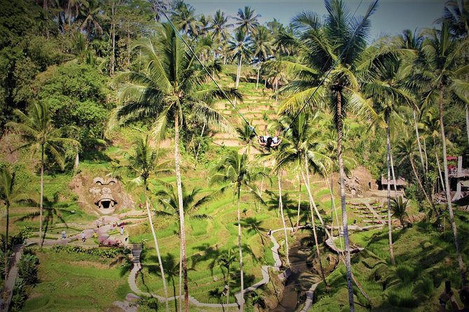 Bali Full Day Tour | Individual Route in Bali | Bali Guide | Free Wi-Fi - Customer Reviews and Recommendations