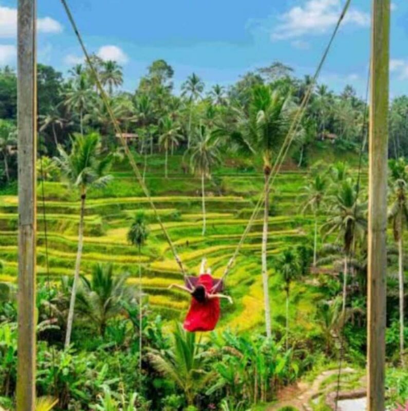 Bali : Full Day Tour With Female Driver - The Experience: What You Can Expect
