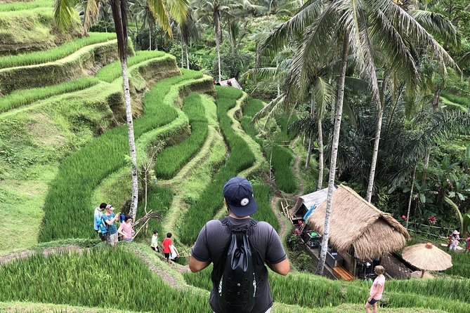 Bali Full Day Tours: Kintamani VOLCANO - Ubud - WATERFALL - TANAH LOT SUNSET - Tropical Fruit and Coffee Plantation