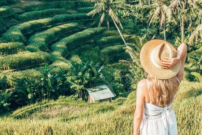 Bali Full-Day Tours : Waterfall and Ubud Destination Trip - Who Should Consider This Tour?