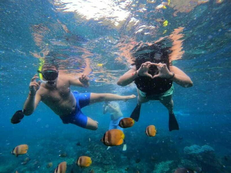 Bali Full Day Trip Fishing, Snorkeling,Eat in Candidasa - Practical Details and Tips