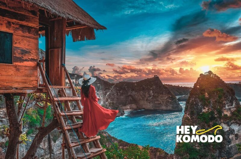 Bali: Full Day Trip to East Nusa Penida,Tree House & Diamond - Itinerary Highlights