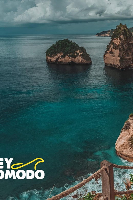 Bali: Full Day Trip to East Nusa Penida,Tree House & Diamond - Included Services