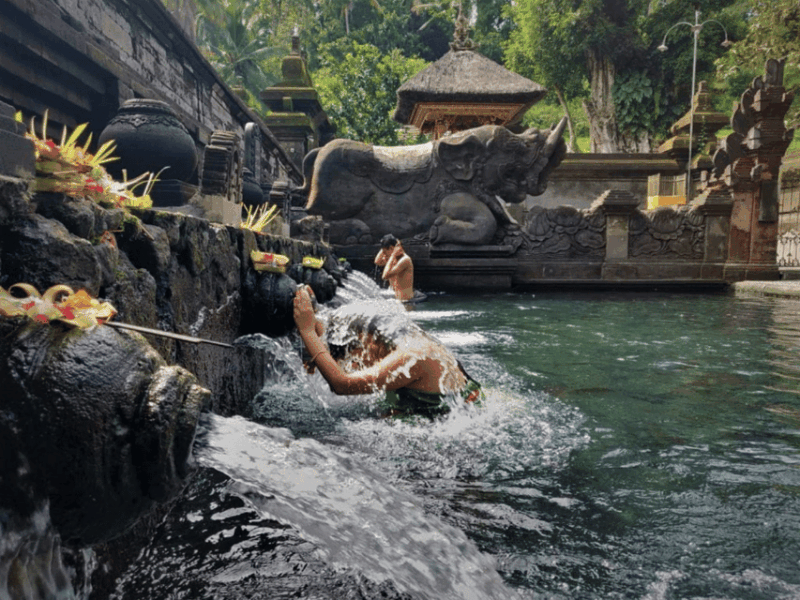 BALI : Full Days Ubud Premium Private Tour - Key Points