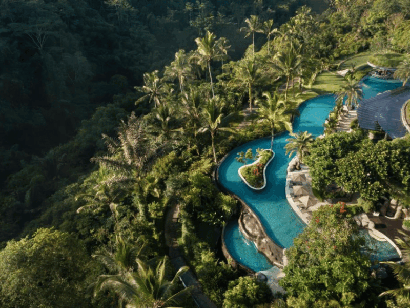 BALI : Full Days Ubud Premium Private Tour - Transportation and Driver