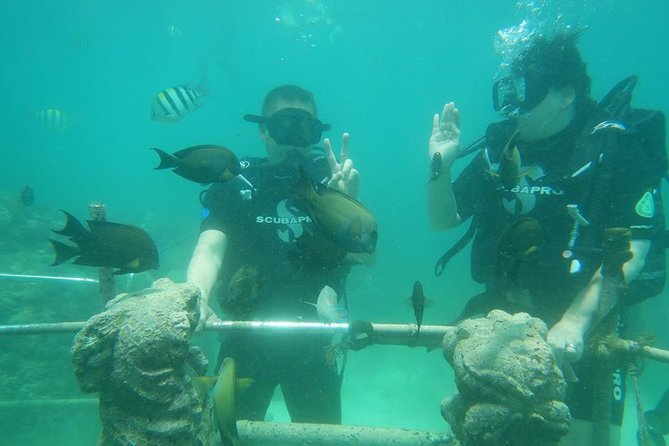 Bali Fun Scuba Dive for Beginners at Tanjung Benoa Beach - Key Points