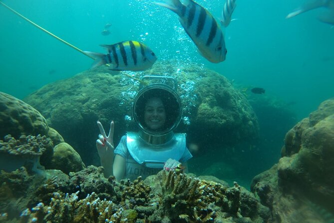 Bali Fun Scuba Dive for Beginners at Tanjung Benoa Beach - What to Expect