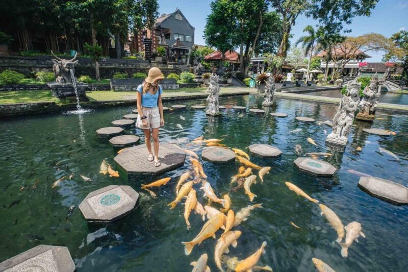 Bali: Gate of Heaven, Besakih Temple,Tirta Gangga GroupTour. - Inclusions
