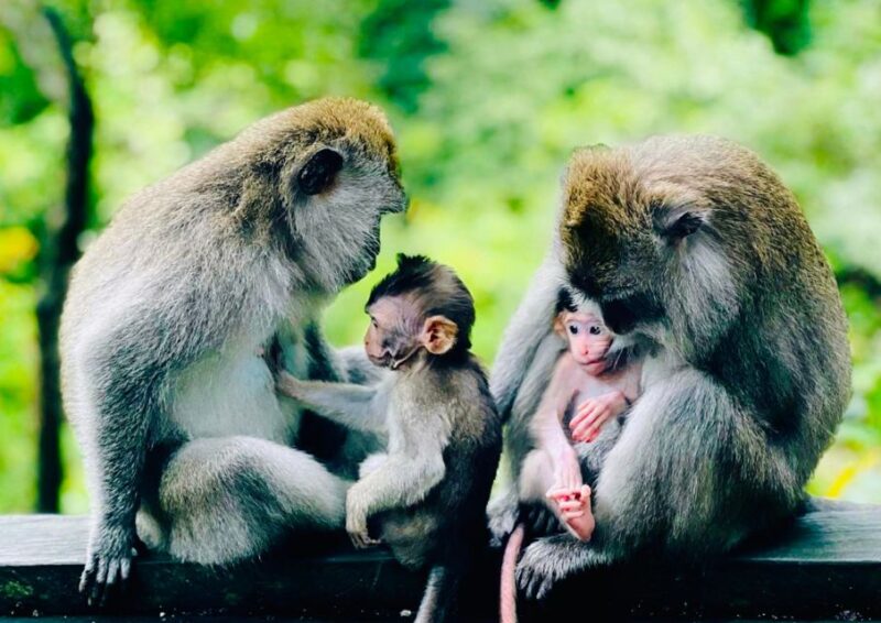 Bali: Goa Gajah, Tegenungan Waterfall & Neka Museum Day Tour - Itinerary Highlights
