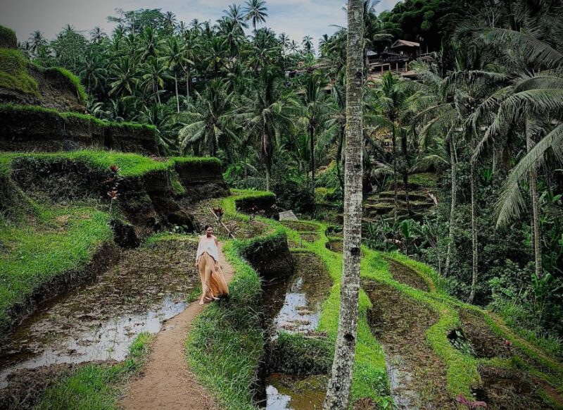 Bali: Goa Gajah, Tegenungan Waterfall & Neka Museum Day Tour - Customer Reviews and Ratings