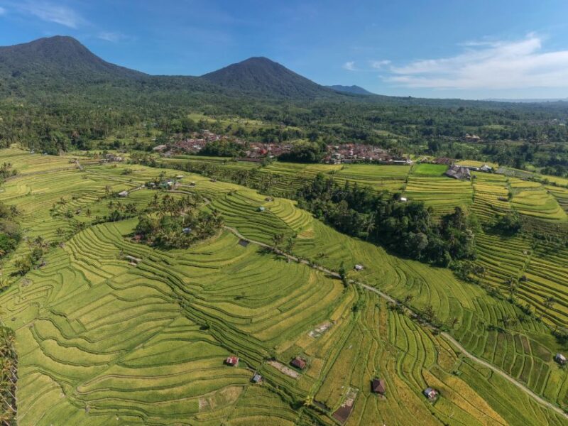 Bali: Green and Heritage West Trip Private Tour, Luxury Car - Itinerary Highlights