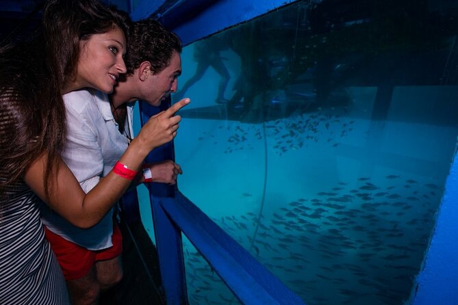 Bali Hai - Reef Cruise - Optional Adventure Activities