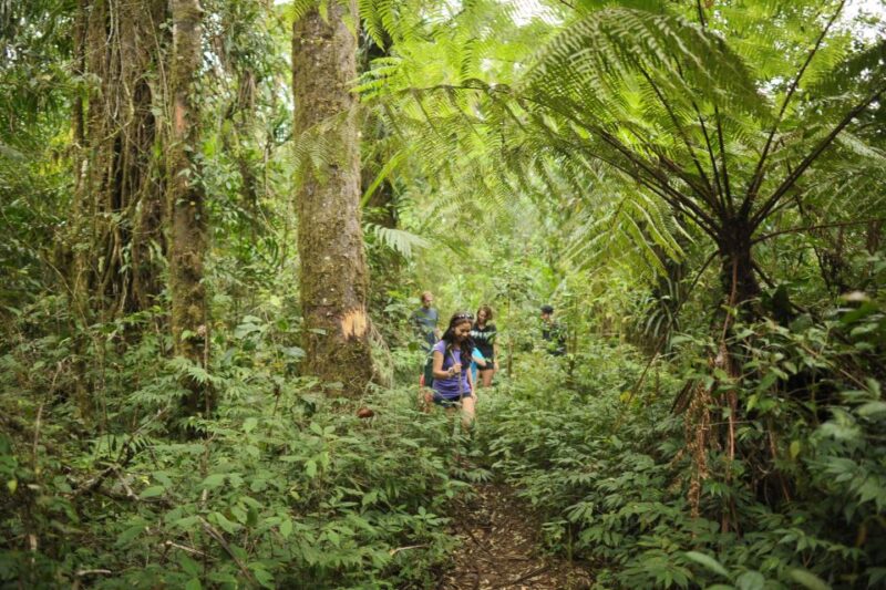Bali: Half-Day Bayad Eco Hike - Inclusions