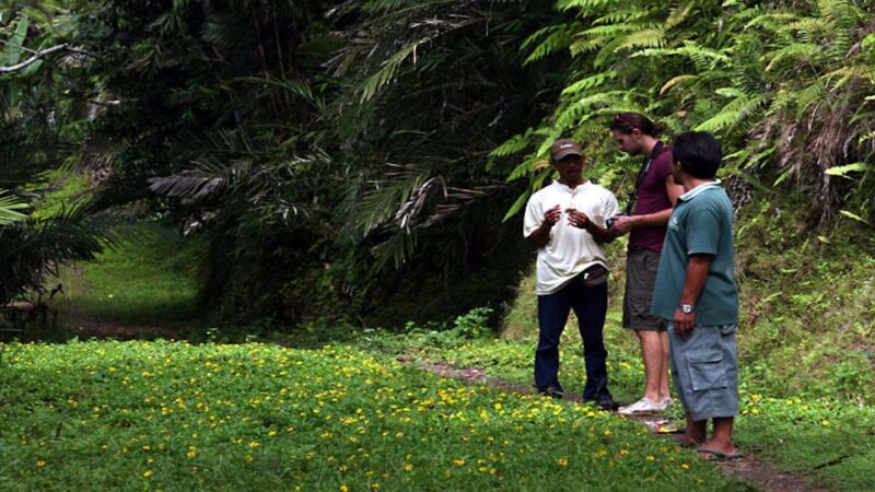 Bali: Half-Day Bayad Eco Hike - Exploring the Bayad Village