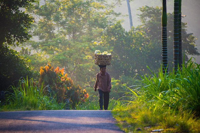 Bali Half Day Photography Tour - Photographic Guidance