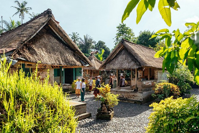 Bali Half-Day PRIVATE TOUR by Car: Highlights & Hidden Gems - Key Points
