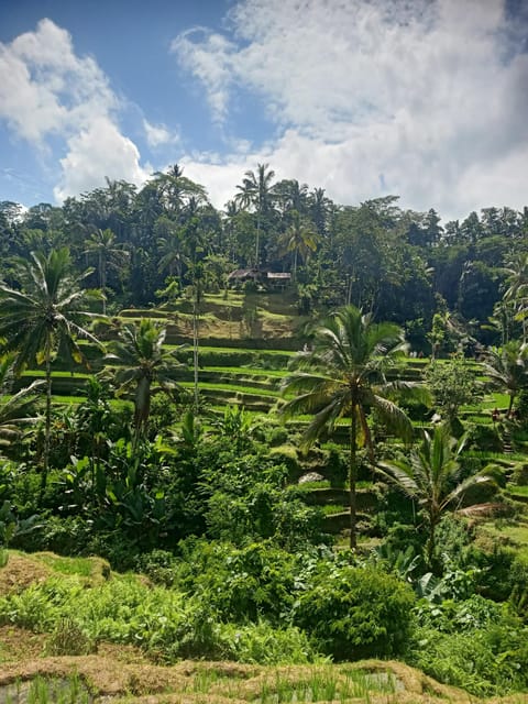 Bali: Half Day Tirta Empul and Bliss Massage - Included in the Package