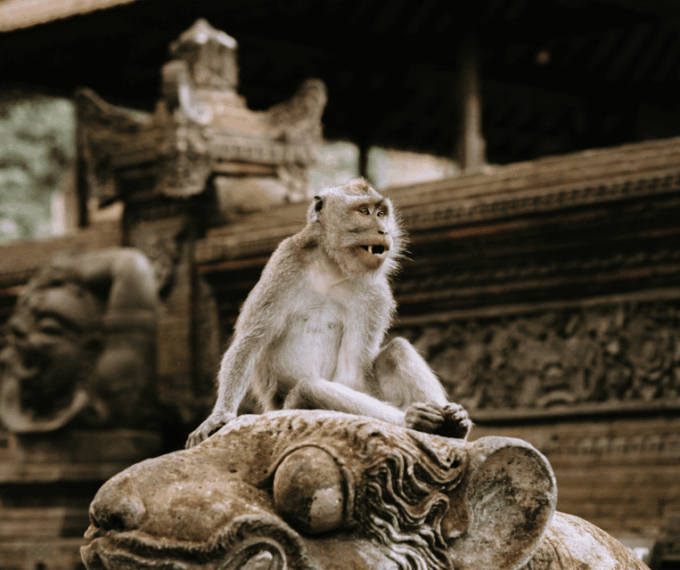 Bali Heritage: Taman Ayun, Monkeys, & Tanah Lot Sunset - Frequently Asked Questions