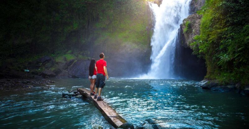 Bali: Hidden Canyon, Waterfall & Temples Small Group Tour - Inclusions and Requirements