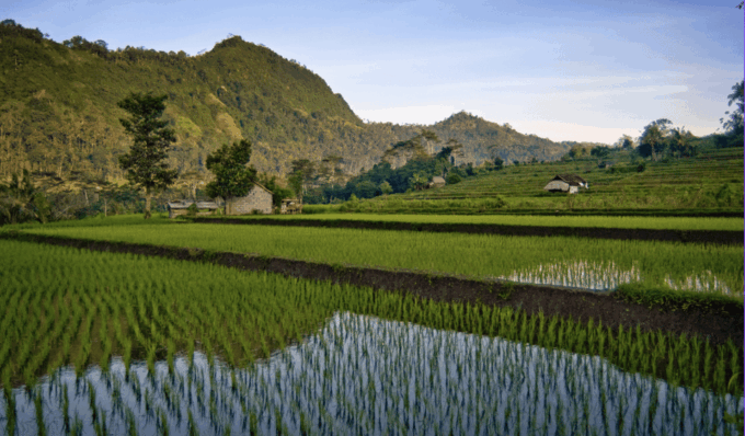 Bali Hidden Paradise Tour: Visit the Hidden Place in Bali - Frequently Asked Questions