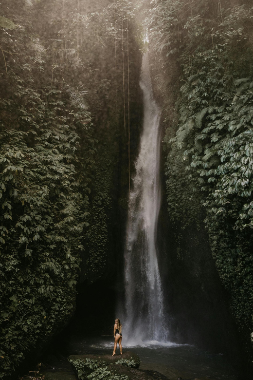 Bali : Hidden Waterfalls Tour (All Inclusive & Private) - Itinerary Highlights