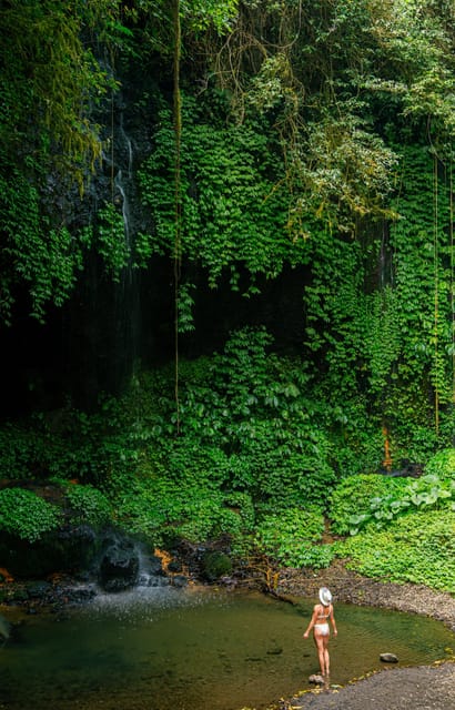 Bali : Hidden Waterfalls Tour (All Inclusive & Private) - Frequently Asked Questions
