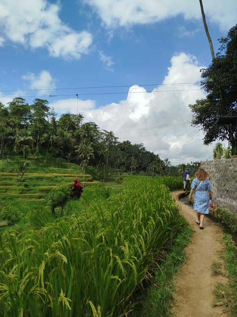 Bali: Highlight Full Day Customized Tour - Explore Areas