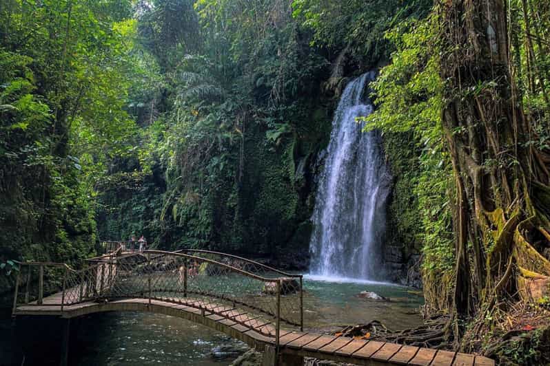 Bali Highlight: Holy Water Temple and Waterfall Day Tour - Key Points
