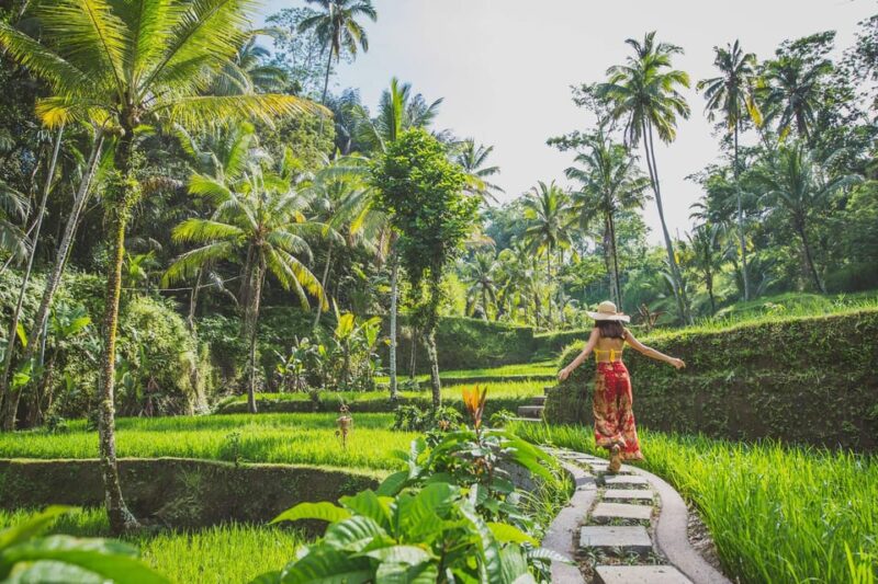 Bali Highlight: Holy Water Temple and Waterfall Day Tour - Itinerary and Locations