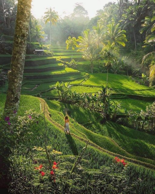 Bali : Highlight of Ubud Culture, Temple and Batur Volcano - Pickup and Cancellation Policy