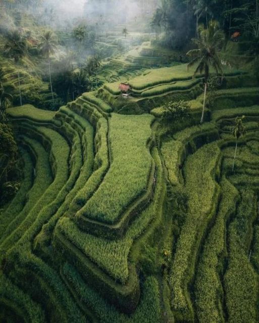 Bali : Highlight of Ubud Culture, Temple and Batur Volcano - Balinese Architecture and Crafts