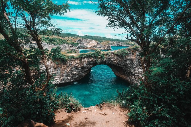Bali: Highlights of Nusa Penida West Islands Tour - All Inclusive - Inclusions
