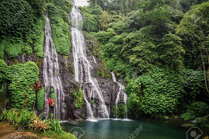 Bali Highlights : Private 3 Day Bali Tours - Day 1: Ubud and Kintamani