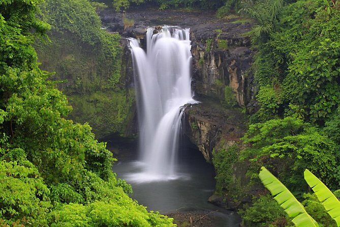 Bali Highlights Private Tour with Elephant Cave and Rice Field - The Sum Up