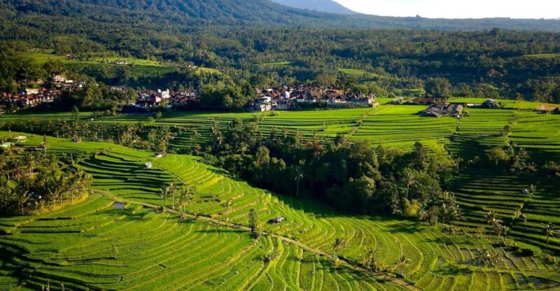 Bali Highlights: Taman Ayun, Jatiluwih, Leke Leke Waterfall - Itinerary Highlights