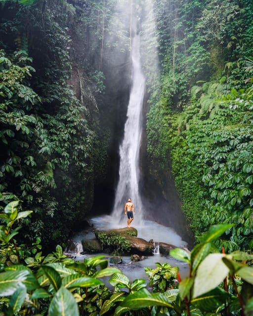 Bali Highlights: Taman Ayun, Jatiluwih, Leke Leke Waterfall - Jatiluwih Rice Terrace