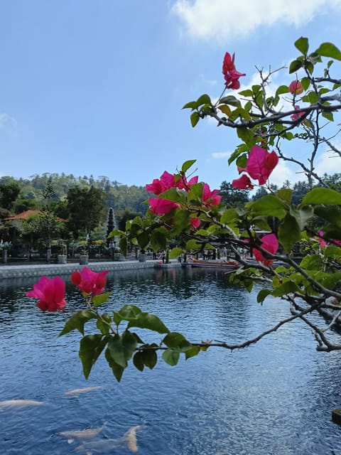 Bali : Highlights Tour for 3 Days - Frequently Asked Questions