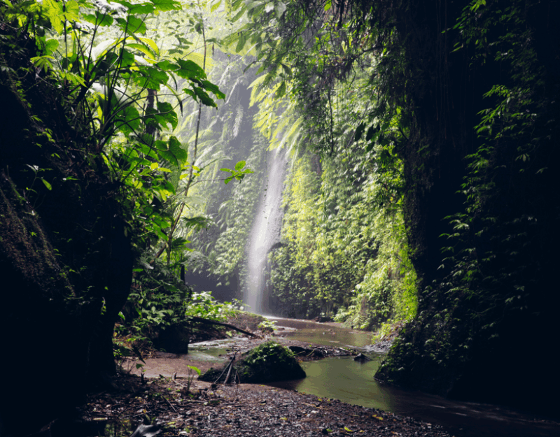 Bali Highlights: Volcanoes, Temples, Waterfall, Rice Terrace - Tukad Cepung Waterfall