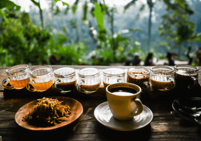 Bali Highlights: Volcanoes, Temples, Waterfall, Rice Terrace - Tirta Empul