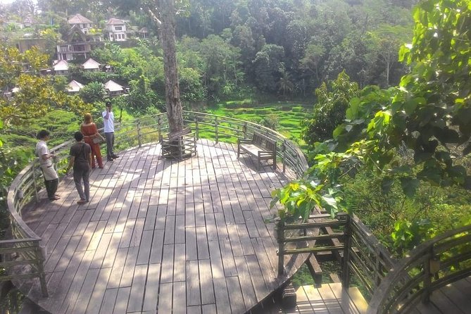 Bali Hindu Temple, Rice Terrace, Waterfall -All Inclusive - Transportation and Comfort