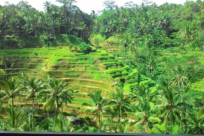Bali Hindu Temple, Rice Terrace, Waterfall -All Inclusive - Booking and Confirmation