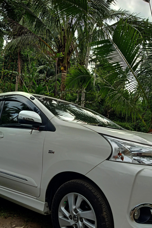 Bali: Hire Private Car Charter With English Speaking Driver - Key Points
