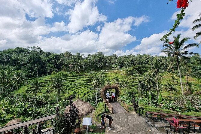 Bali Holy Bathing Ritual and Ubud Highlights Tour | Power Traveller