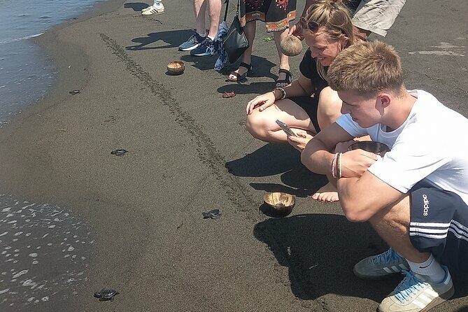Bali Horse Riding and Turtle Release at Saba Beach - Refreshing Stop at Tegenungan Waterfall