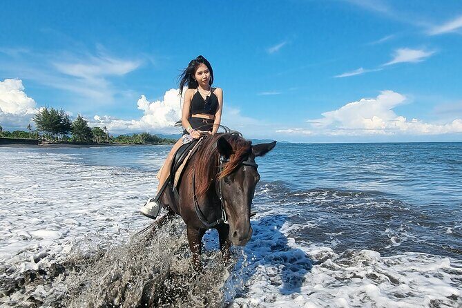 Bali Horse Riding and Turtle Release at Saba Beach - The Logistics and Practicalities