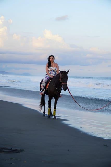 Bali: Horse Riding Beach Experience Include Transport - Key Points