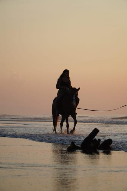 Bali: Horse Riding Beach Experience Include Transport - Inclusions and Restrictions