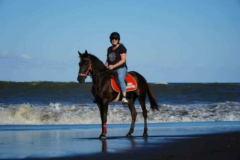 Bali: Horse Riding Experience in Sanur (1 Hour ride) - FAQ