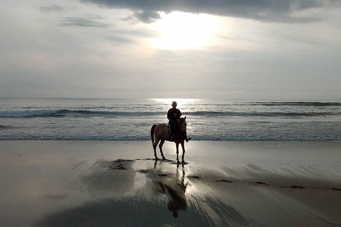 Bali Horse Riding in Seminyak Beach Private Experiance - Memorable Interactions With Guides and Horses